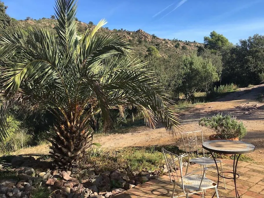 Villa Masia Mit Swimmingpool Fuer 8 Personnen Boadella i les Escaules